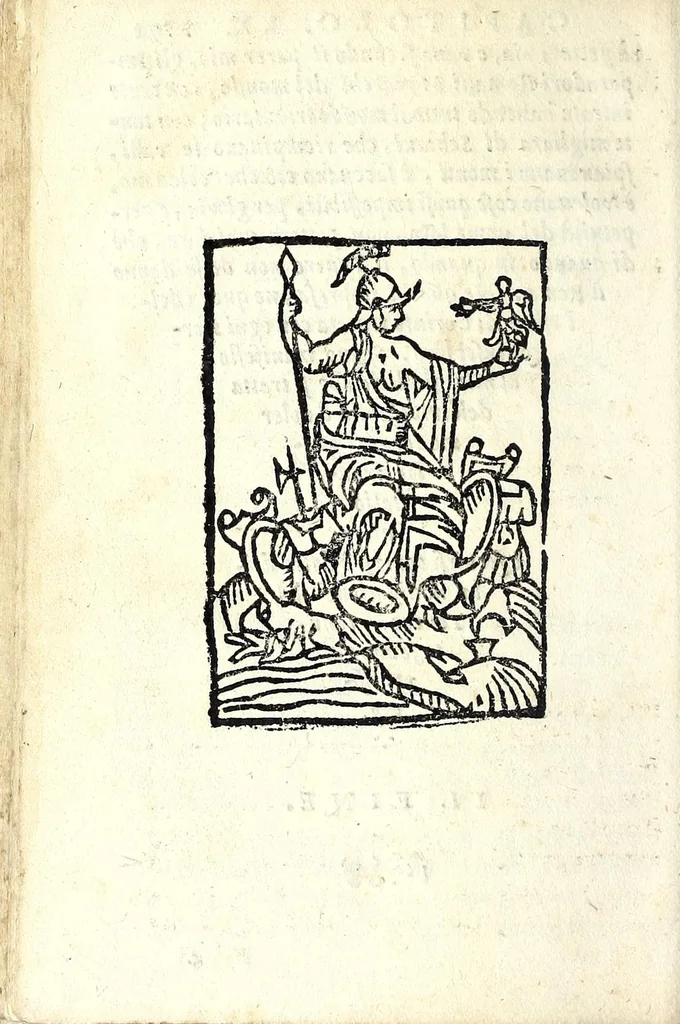 An illustration from Trattato dell'inondatione del Tevere, di Iacomo Castiglione romano : doue si discorre delle caggioni, e remedij suoi, e si dichiarano alcune antichità, e luoghi di autori vecchi : con vna relatione del diluuio di Roma del 1598 : raccolta da molti diluuij dalla fondatione sua, & pietre poste per segni di essi in diuerse parti di Roma ; con le sue altezze, e misure : e con vn modo stvpendo col qvale si saluorono molte famiglie in Castel Sãt'Angelo, 1599, leaf 84