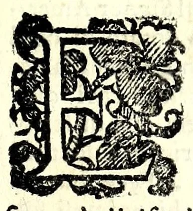 An illustration from Trattato dell'inondatione del Tevere, di Iacomo Castiglione romano : doue si discorre delle caggioni, e remedij suoi, e si dichiarano alcune antichità, e luoghi di autori vecchi : con vna relatione del diluuio di Roma del 1598 : raccolta da molti diluuij dalla fondatione sua, & pietre poste per segni di essi in diuerse parti di Roma ; con le sue altezze, e misure : e con vn modo stvpendo col qvale si saluorono molte famiglie in Castel Sãt'Angelo, 1599, leaf 85