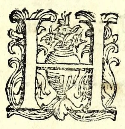 An illustration from Trattato dell'inondatione del Tevere, di Iacomo Castiglione romano : doue si discorre delle caggioni, e remedij suoi, e si dichiarano alcune antichità, e luoghi di autori vecchi : con vna relatione del diluuio di Roma del 1598 : raccolta da molti diluuij dalla fondatione sua, & pietre poste per segni di essi in diuerse parti di Roma ; con le sue altezze, e misure : e con vn modo stvpendo col qvale si saluorono molte famiglie in Castel Sãt'Angelo, 1599, leaf 9