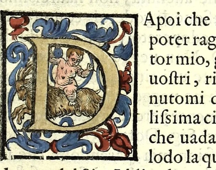 An illustration from Trattato dello schermo d'Angelo Vizani dal Montone bolognese : nel quale discorre intorno all'eccellenza dell'armi, & delle lettere, & intorno all'offesa, & difesa : et insegna vno schermo di spada sola sicuro, e singolare : con vna tauola copiosissma, 1588, leaf 39