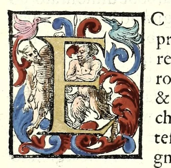 An illustration from Trattato dello schermo d'Angelo Vizani dal Montone bolognese : nel quale discorre intorno all'eccellenza dell'armi, & delle lettere, & intorno all'offesa, & difesa : et insegna vno schermo di spada sola sicuro, e singolare : con vna tauola copiosissma, 1588, leaf 85