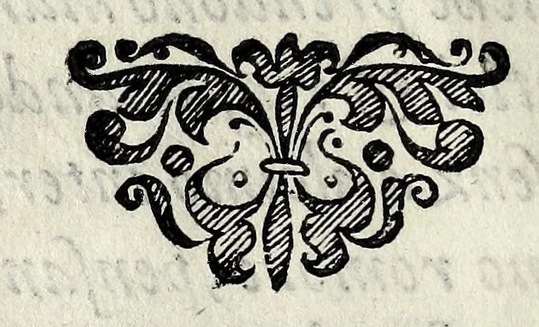 An illustration from Trattato del molto R.P. Georgio Scherer, theologo della Compagnia di Iesv & predicatore del ser.mo arciduca Ernesto d'Austria, &c : nel qvale con verissime raggioni proua non esser vero, che gia sia stato in Roma una Donna Pontifice, 1596, leaf 10