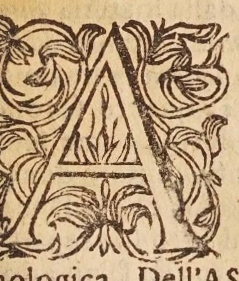 An illustration from Trattato del R.P.M. Paolo Antonio Foscarini ... della divinatione naturale cosmologica, ouero, De' pronostici e presagii naturali, delle mutationi de tempi &c, 1615, leaf 159
