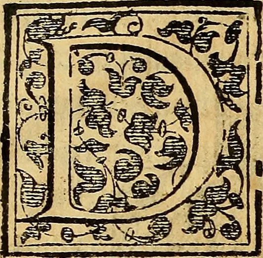 An illustration from Trattato di Christoforo Acosta Africano medico, & chirurgo della historia, natura, et virtu delle droghe medicinali, & altri semplici rarissimi, che vengono portati dalle Indie Orientali in Europa : con le figures delle piante ritratte, & disegnate dal viuo poste a' luoghi proprij ; nuouamente recato dalla Spagnuola nella nostra lingua .., 1585, leaf 101