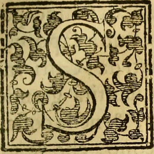 An illustration from Trattato di Christoforo Acosta Africano medico, & chirurgo della historia, natura, et virtu delle droghe medicinali, & altri semplici rarissimi, che vengono portati dalle Indie Orientali in Europa : con le figures delle piante ritratte, & disegnate dal viuo poste a' luoghi proprij ; nuouamente recato dalla Spagnuola nella nostra lingua .., 1585, leaf 112