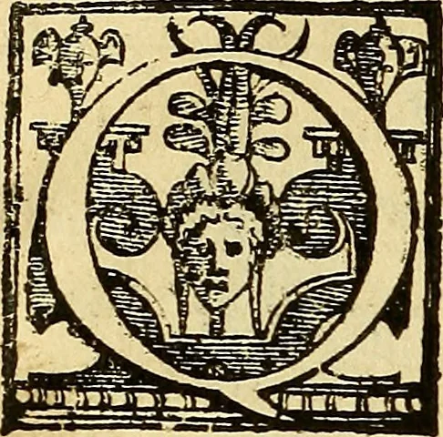 An illustration from Trattato di Christoforo Acosta Africano medico, & chirurgo della historia, natura, et virtu delle droghe medicinali, & altri semplici rarissimi, che vengono portati dalle Indie Orientali in Europa : con le figures delle piante ritratte, & disegnate dal viuo poste a' luoghi proprij ; nuouamente recato dalla Spagnuola nella nostra lingua .., 1585, leaf 117