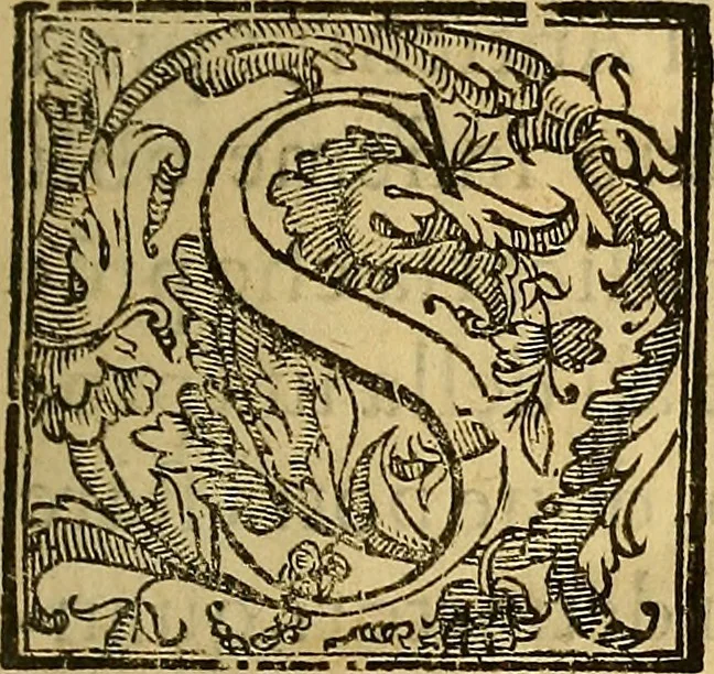 An illustration from Trattato di Christoforo Acosta Africano medico, & chirurgo della historia, natura, et virtu delle droghe medicinali, & altri semplici rarissimi, che vengono portati dalle Indie Orientali in Europa : con le figures delle piante ritratte, & disegnate dal viuo poste a' luoghi proprij ; nuouamente recato dalla Spagnuola nella nostra lingua .., 1585, leaf 12