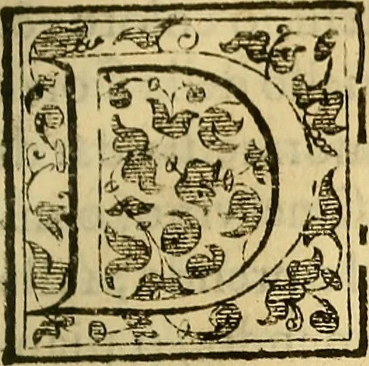 An illustration from Trattato di Christoforo Acosta Africano medico, & chirurgo della historia, natura, et virtu delle droghe medicinali, & altri semplici rarissimi, che vengono portati dalle Indie Orientali in Europa : con le figures delle piante ritratte, & disegnate dal viuo poste a' luoghi proprij ; nuouamente recato dalla Spagnuola nella nostra lingua .., 1585, leaf 122