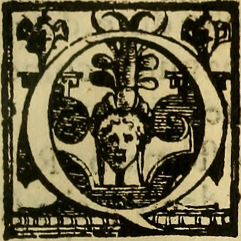 An illustration from Trattato di Christoforo Acosta Africano medico, & chirurgo della historia, natura, et virtu delle droghe medicinali, & altri semplici rarissimi, che vengono portati dalle Indie Orientali in Europa : con le figures delle piante ritratte, & disegnate dal viuo poste a' luoghi proprij ; nuouamente recato dalla Spagnuola nella nostra lingua .., 1585, leaf 128