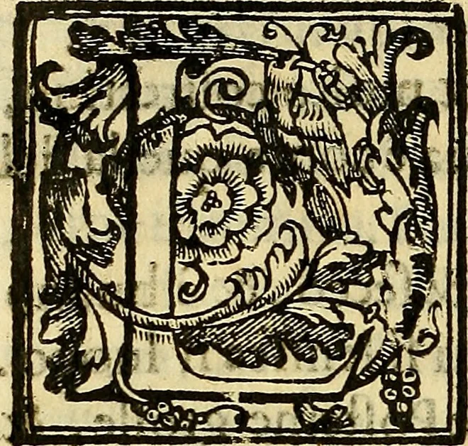 An illustration from Trattato di Christoforo Acosta Africano medico, & chirurgo della historia, natura, et virtu delle droghe medicinali, & altri semplici rarissimi, che vengono portati dalle Indie Orientali in Europa : con le figures delle piante ritratte, & disegnate dal viuo poste a' luoghi proprij ; nuouamente recato dalla Spagnuola nella nostra lingua .., 1585, leaf 131