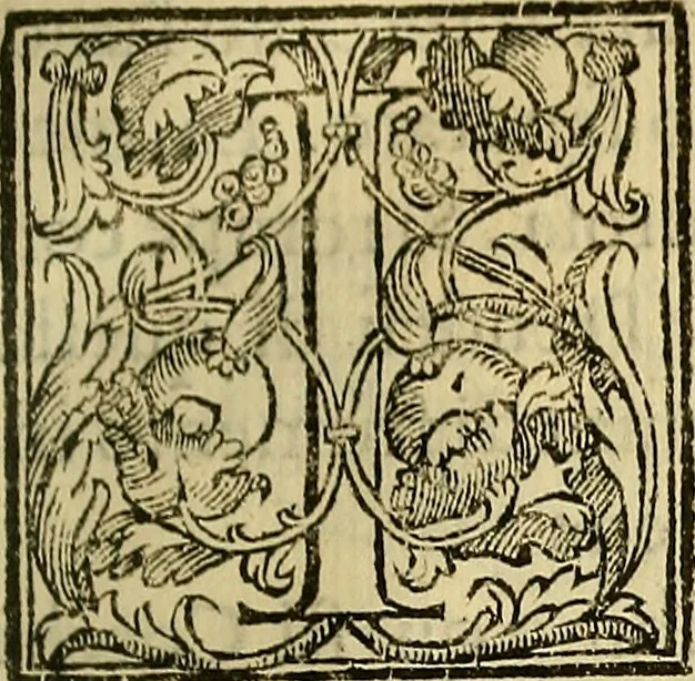 An illustration from Trattato di Christoforo Acosta Africano medico, & chirurgo della historia, natura, et virtu delle droghe medicinali, & altri semplici rarissimi, che vengono portati dalle Indie Orientali in Europa : con le figures delle piante ritratte, & disegnate dal viuo poste a' luoghi proprij ; nuouamente recato dalla Spagnuola nella nostra lingua .., 1585, leaf 138