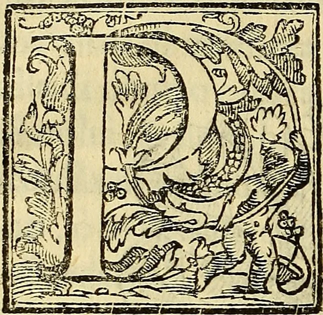 An illustration from Trattato di Christoforo Acosta Africano medico, & chirurgo della historia, natura, et virtu delle droghe medicinali, & altri semplici rarissimi, che vengono portati dalle Indie Orientali in Europa : con le figures delle piante ritratte, & disegnate dal viuo poste a' luoghi proprij ; nuouamente recato dalla Spagnuola nella nostra lingua .., 1585, leaf 141