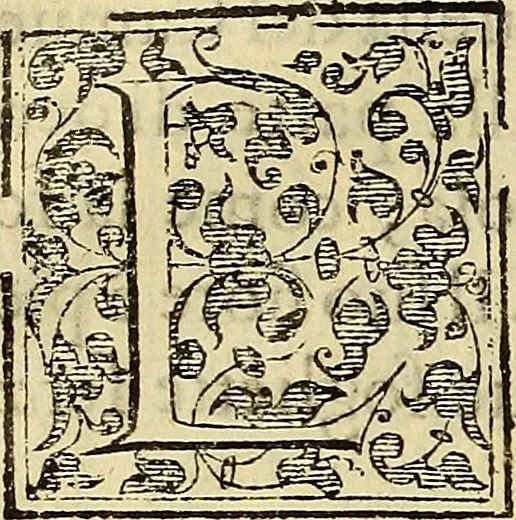 An illustration from Trattato di Christoforo Acosta Africano medico, & chirurgo della historia, natura, et virtu delle droghe medicinali, & altri semplici rarissimi, che vengono portati dalle Indie Orientali in Europa : con le figures delle piante ritratte, & disegnate dal viuo poste a' luoghi proprij ; nuouamente recato dalla Spagnuola nella nostra lingua .., 1585, leaf 143