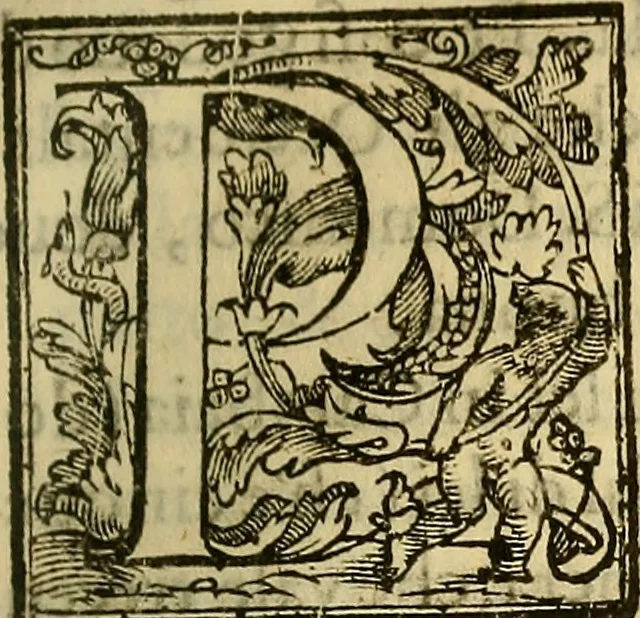 An illustration from Trattato di Christoforo Acosta Africano medico, & chirurgo della historia, natura, et virtu delle droghe medicinali, & altri semplici rarissimi, che vengono portati dalle Indie Orientali in Europa : con le figures delle piante ritratte, & disegnate dal viuo poste a' luoghi proprij ; nuouamente recato dalla Spagnuola nella nostra lingua .., 1585, leaf 154