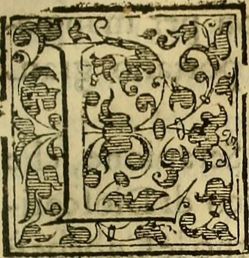 An illustration from Trattato di Christoforo Acosta Africano medico, & chirurgo della historia, natura, et virtu delle droghe medicinali, & altri semplici rarissimi, che vengono portati dalle Indie Orientali in Europa : con le figures delle piante ritratte, & disegnate dal viuo poste a' luoghi proprij ; nuouamente recato dalla Spagnuola nella nostra lingua .., 1585, leaf 158