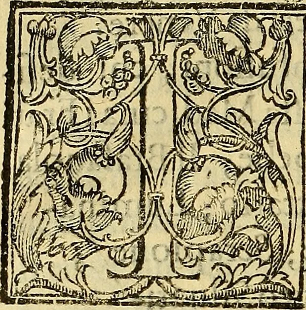 An illustration from Trattato di Christoforo Acosta Africano medico, & chirurgo della historia, natura, et virtu delle droghe medicinali, & altri semplici rarissimi, che vengono portati dalle Indie Orientali in Europa : con le figures delle piante ritratte, & disegnate dal viuo poste a' luoghi proprij ; nuouamente recato dalla Spagnuola nella nostra lingua .., 1585, leaf 163