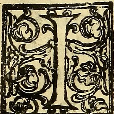 An illustration from Trattato di Christoforo Acosta Africano medico, & chirurgo della historia, natura, et virtu delle droghe medicinali, & altri semplici rarissimi, che vengono portati dalle Indie Orientali in Europa : con le figures delle piante ritratte, & disegnate dal viuo poste a' luoghi proprij ; nuouamente recato dalla Spagnuola nella nostra lingua .., 1585, leaf 169