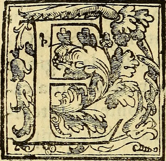 An illustration from Trattato di Christoforo Acosta Africano medico, & chirurgo della historia, natura, et virtu delle droghe medicinali, & altri semplici rarissimi, che vengono portati dalle Indie Orientali in Europa : con le figures delle piante ritratte, & disegnate dal viuo poste a' luoghi proprij ; nuouamente recato dalla Spagnuola nella nostra lingua .., 1585, leaf 187