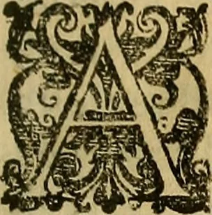 An illustration from Trattato di Christoforo Acosta Africano medico, & chirurgo della historia, natura, et virtu delle droghe medicinali, & altri semplici rarissimi, che vengono portati dalle Indie Orientali in Europa : con le figures delle piante ritratte, & disegnate dal viuo poste a' luoghi proprij ; nuouamente recato dalla Spagnuola nella nostra lingua .., 1585, leaf 20