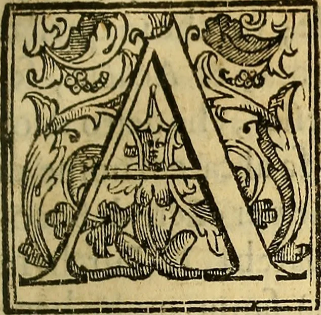 An illustration from Trattato di Christoforo Acosta Africano medico, & chirurgo della historia, natura, et virtu delle droghe medicinali, & altri semplici rarissimi, che vengono portati dalle Indie Orientali in Europa : con le figures delle piante ritratte, & disegnate dal viuo poste a' luoghi proprij ; nuouamente recato dalla Spagnuola nella nostra lingua .., 1585, leaf 200