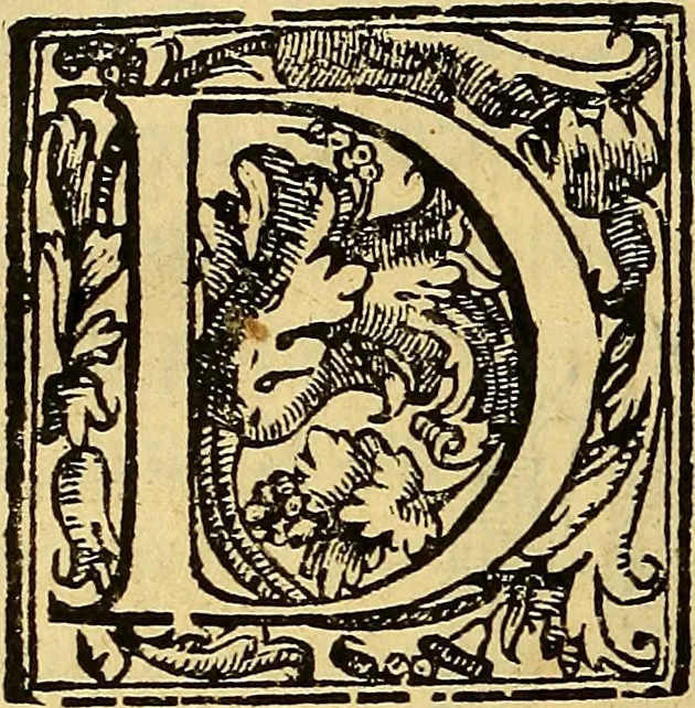 An illustration from Trattato di Christoforo Acosta Africano medico, & chirurgo della historia, natura, et virtu delle droghe medicinali, & altri semplici rarissimi, che vengono portati dalle Indie Orientali in Europa : con le figures delle piante ritratte, & disegnate dal viuo poste a' luoghi proprij ; nuouamente recato dalla Spagnuola nella nostra lingua .., 1585, leaf 215