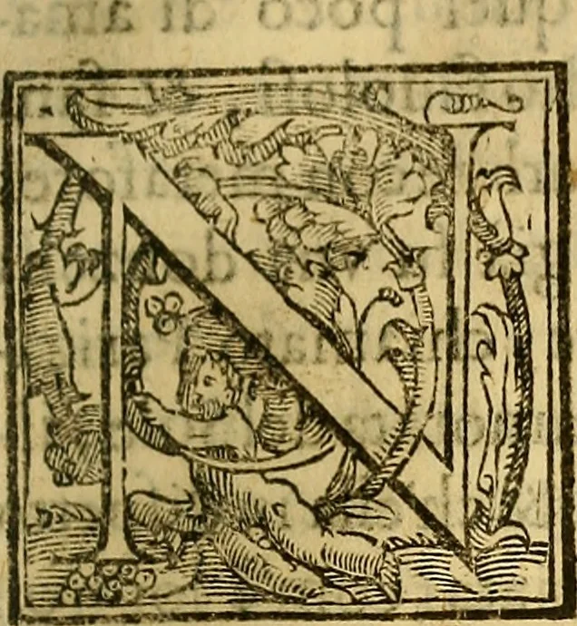 An illustration from Trattato di Christoforo Acosta Africano medico, & chirurgo della historia, natura, et virtu delle droghe medicinali, & altri semplici rarissimi, che vengono portati dalle Indie Orientali in Europa : con le figures delle piante ritratte, & disegnate dal viuo poste a' luoghi proprij ; nuouamente recato dalla Spagnuola nella nostra lingua .., 1585, leaf 220