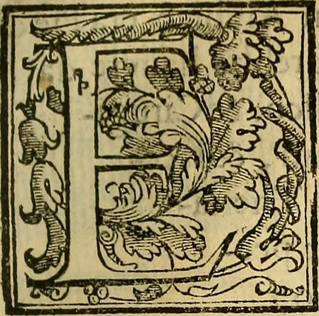 An illustration from Trattato di Christoforo Acosta Africano medico, & chirurgo della historia, natura, et virtu delle droghe medicinali, & altri semplici rarissimi, che vengono portati dalle Indie Orientali in Europa : con le figures delle piante ritratte, & disegnate dal viuo poste a' luoghi proprij ; nuouamente recato dalla Spagnuola nella nostra lingua .., 1585, leaf 224