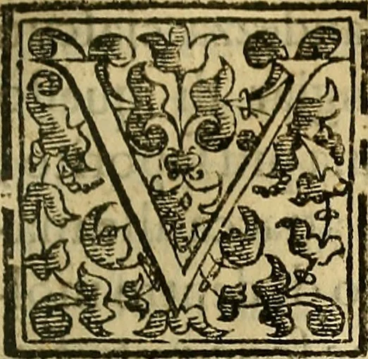 An illustration from Trattato di Christoforo Acosta Africano medico, & chirurgo della historia, natura, et virtu delle droghe medicinali, & altri semplici rarissimi, che vengono portati dalle Indie Orientali in Europa : con le figures delle piante ritratte, & disegnate dal viuo poste a' luoghi proprij ; nuouamente recato dalla Spagnuola nella nostra lingua .., 1585, leaf 226