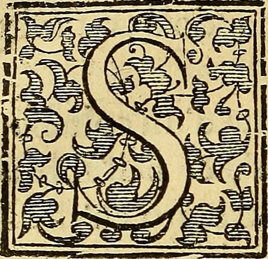 An illustration from Trattato di Christoforo Acosta Africano medico, & chirurgo della historia, natura, et virtu delle droghe medicinali, & altri semplici rarissimi, che vengono portati dalle Indie Orientali in Europa : con le figures delle piante ritratte, & disegnate dal viuo poste a' luoghi proprij ; nuouamente recato dalla Spagnuola nella nostra lingua .., 1585, leaf 233