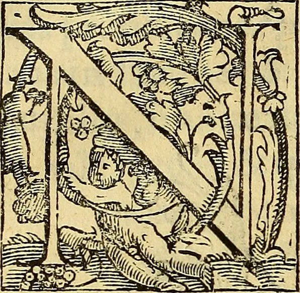 An illustration from Trattato di Christoforo Acosta Africano medico, & chirurgo della historia, natura, et virtu delle droghe medicinali, & altri semplici rarissimi, che vengono portati dalle Indie Orientali in Europa : con le figures delle piante ritratte, & disegnate dal viuo poste a' luoghi proprij ; nuouamente recato dalla Spagnuola nella nostra lingua .., 1585, leaf 237