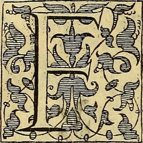 An illustration from Trattato di Christoforo Acosta Africano medico, & chirurgo della historia, natura, et virtu delle droghe medicinali, & altri semplici rarissimi, che vengono portati dalle Indie Orientali in Europa : con le figures delle piante ritratte, & disegnate dal viuo poste a' luoghi proprij ; nuouamente recato dalla Spagnuola nella nostra lingua .., 1585, leaf 239