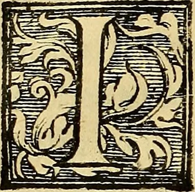An illustration from Trattato di Christoforo Acosta Africano medico, & chirurgo della historia, natura, et virtu delle droghe medicinali, & altri semplici rarissimi, che vengono portati dalle Indie Orientali in Europa : con le figures delle piante ritratte, & disegnate dal viuo poste a' luoghi proprij ; nuouamente recato dalla Spagnuola nella nostra lingua .., 1585, leaf 247