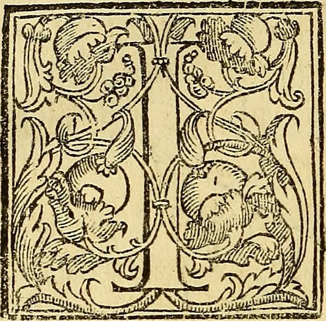 An illustration from Trattato di Christoforo Acosta Africano medico, & chirurgo della historia, natura, et virtu delle droghe medicinali, & altri semplici rarissimi, che vengono portati dalle Indie Orientali in Europa : con le figures delle piante ritratte, & disegnate dal viuo poste a' luoghi proprij ; nuouamente recato dalla Spagnuola nella nostra lingua .., 1585, leaf 249