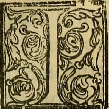 An illustration from Trattato di Christoforo Acosta Africano medico, & chirurgo della historia, natura, et virtu delle droghe medicinali, & altri semplici rarissimi, che vengono portati dalle Indie Orientali in Europa : con le figures delle piante ritratte, & disegnate dal viuo poste a' luoghi proprij ; nuouamente recato dalla Spagnuola nella nostra lingua .., 1585, leaf 252