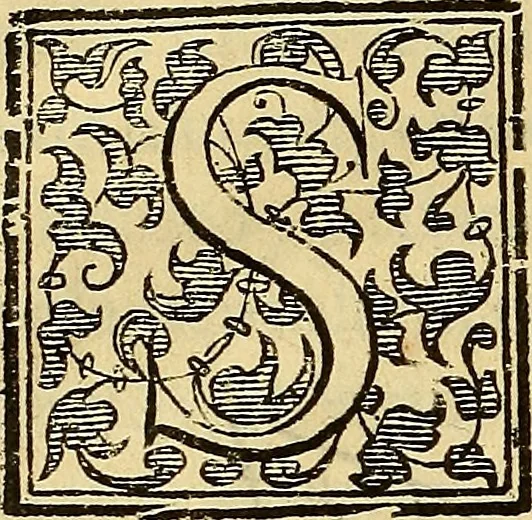 An illustration from Trattato di Christoforo Acosta Africano medico, & chirurgo della historia, natura, et virtu delle droghe medicinali, & altri semplici rarissimi, che vengono portati dalle Indie Orientali in Europa : con le figures delle piante ritratte, & disegnate dal viuo poste a' luoghi proprij ; nuouamente recato dalla Spagnuola nella nostra lingua .., 1585, leaf 255
