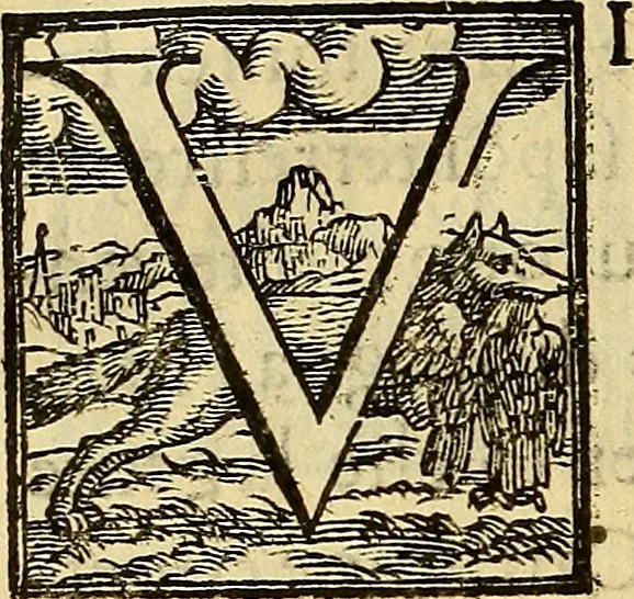 An illustration from Trattato di Christoforo Acosta Africano medico, & chirurgo della historia, natura, et virtu delle droghe medicinali, & altri semplici rarissimi, che vengono portati dalle Indie Orientali in Europa : con le figures delle piante ritratte, & disegnate dal viuo poste a' luoghi proprij ; nuouamente recato dalla Spagnuola nella nostra lingua .., 1585, leaf 257