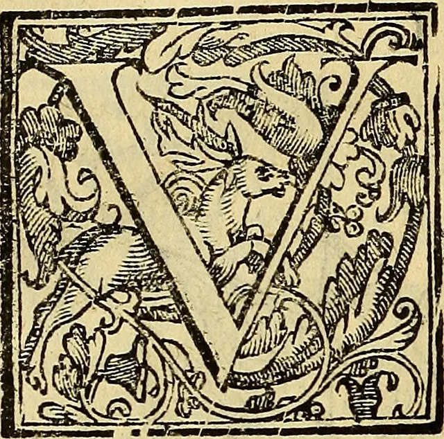 An illustration from Trattato di Christoforo Acosta Africano medico, & chirurgo della historia, natura, et virtu delle droghe medicinali, & altri semplici rarissimi, che vengono portati dalle Indie Orientali in Europa : con le figures delle piante ritratte, & disegnate dal viuo poste a' luoghi proprij ; nuouamente recato dalla Spagnuola nella nostra lingua .., 1585, leaf 259