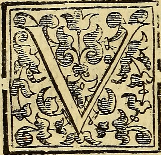 An illustration from Trattato di Christoforo Acosta Africano medico, & chirurgo della historia, natura, et virtu delle droghe medicinali, & altri semplici rarissimi, che vengono portati dalle Indie Orientali in Europa : con le figures delle piante ritratte, & disegnate dal viuo poste a' luoghi proprij ; nuouamente recato dalla Spagnuola nella nostra lingua .., 1585, leaf 261