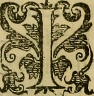 An illustration from Trattato di Christoforo Acosta Africano medico, & chirurgo della historia, natura, et virtu delle droghe medicinali, & altri semplici rarissimi, che vengono portati dalle Indie Orientali in Europa : con le figures delle piante ritratte, & disegnate dal viuo poste a' luoghi proprij ; nuouamente recato dalla Spagnuola nella nostra lingua .., 1585, leaf 262