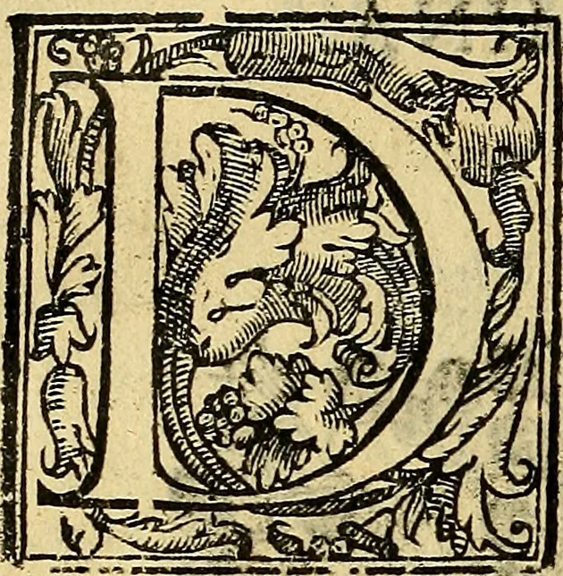 An illustration from Trattato di Christoforo Acosta Africano medico, & chirurgo della historia, natura, et virtu delle droghe medicinali, & altri semplici rarissimi, che vengono portati dalle Indie Orientali in Europa : con le figures delle piante ritratte, & disegnate dal viuo poste a' luoghi proprij ; nuouamente recato dalla Spagnuola nella nostra lingua .., 1585, leaf 267