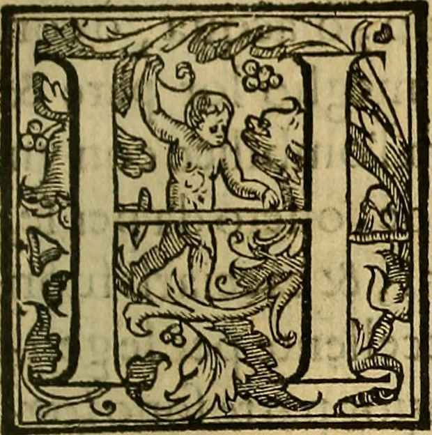 An illustration from Trattato di Christoforo Acosta Africano medico, & chirurgo della historia, natura, et virtu delle droghe medicinali, & altri semplici rarissimi, che vengono portati dalle Indie Orientali in Europa : con le figures delle piante ritratte, & disegnate dal viuo poste a' luoghi proprij ; nuouamente recato dalla Spagnuola nella nostra lingua .., 1585, leaf 270