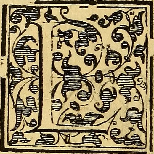 An illustration from Trattato di Christoforo Acosta Africano medico, & chirurgo della historia, natura, et virtu delle droghe medicinali, & altri semplici rarissimi, che vengono portati dalle Indie Orientali in Europa : con le figures delle piante ritratte, & disegnate dal viuo poste a' luoghi proprij ; nuouamente recato dalla Spagnuola nella nostra lingua .., 1585, leaf 277