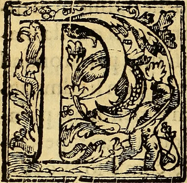 An illustration from Trattato di Christoforo Acosta Africano medico, & chirurgo della historia, natura, et virtu delle droghe medicinali, & altri semplici rarissimi, che vengono portati dalle Indie Orientali in Europa : con le figures delle piante ritratte, & disegnate dal viuo poste a' luoghi proprij ; nuouamente recato dalla Spagnuola nella nostra lingua .., 1585, leaf 283