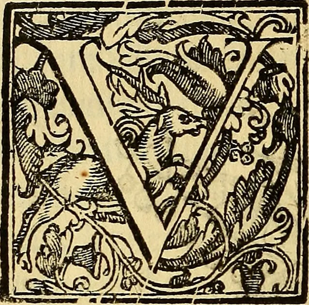 An illustration from Trattato di Christoforo Acosta Africano medico, & chirurgo della historia, natura, et virtu delle droghe medicinali, & altri semplici rarissimi, che vengono portati dalle Indie Orientali in Europa : con le figures delle piante ritratte, & disegnate dal viuo poste a' luoghi proprij ; nuouamente recato dalla Spagnuola nella nostra lingua .., 1585, leaf 293