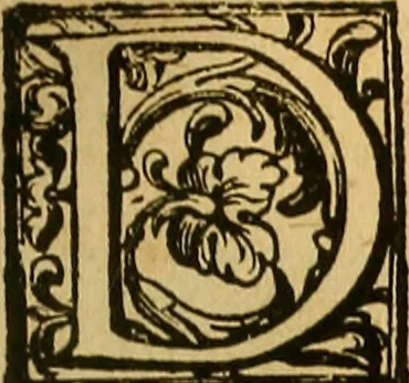 An illustration from Trattato di Christoforo Acosta Africano medico, & chirurgo della historia, natura, et virtu delle droghe medicinali, & altri semplici rarissimi, che vengono portati dalle Indie Orientali in Europa : con le figures delle piante ritratte, & disegnate dal viuo poste a' luoghi proprij ; nuouamente recato dalla Spagnuola nella nostra lingua .., 1585, leaf 300