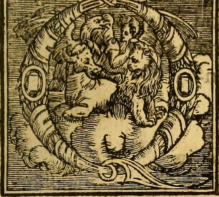 An illustration from Trattato di Christoforo Acosta Africano medico, & chirurgo della historia, natura, et virtu delle droghe medicinali, & altri semplici rarissimi, che vengono portati dalle Indie Orientali in Europa : con le figures delle piante ritratte, & disegnate dal viuo poste a' luoghi proprij ; nuouamente recato dalla Spagnuola nella nostra lingua .., 1585, leaf 302
