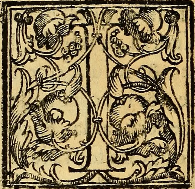 An illustration from Trattato di Christoforo Acosta Africano medico, & chirurgo della historia, natura, et virtu delle droghe medicinali, & altri semplici rarissimi, che vengono portati dalle Indie Orientali in Europa : con le figures delle piante ritratte, & disegnate dal viuo poste a' luoghi proprij ; nuouamente recato dalla Spagnuola nella nostra lingua .., 1585, leaf 307