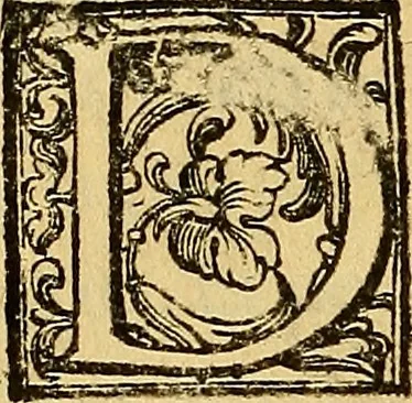 An illustration from Trattato di Christoforo Acosta Africano medico, & chirurgo della historia, natura, et virtu delle droghe medicinali, & altri semplici rarissimi, che vengono portati dalle Indie Orientali in Europa : con le figures delle piante ritratte, & disegnate dal viuo poste a' luoghi proprij ; nuouamente recato dalla Spagnuola nella nostra lingua .., 1585, leaf 313