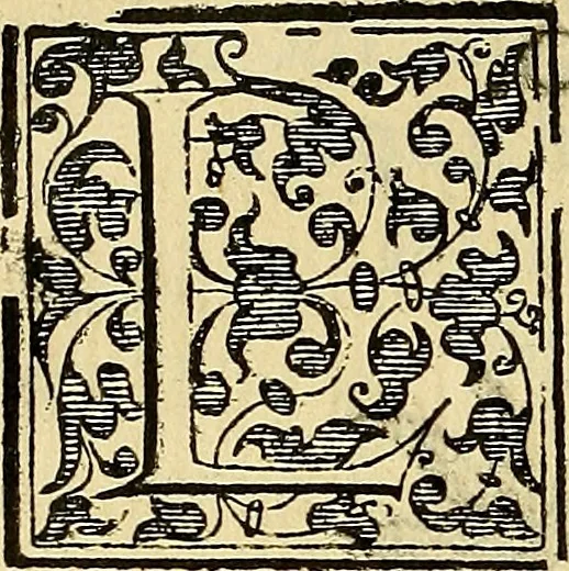 An illustration from Trattato di Christoforo Acosta Africano medico, & chirurgo della historia, natura, et virtu delle droghe medicinali, & altri semplici rarissimi, che vengono portati dalle Indie Orientali in Europa : con le figures delle piante ritratte, & disegnate dal viuo poste a' luoghi proprij ; nuouamente recato dalla Spagnuola nella nostra lingua .., 1585, leaf 321