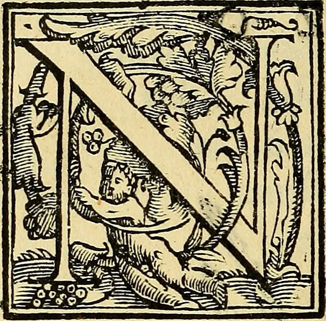 An illustration from Trattato di Christoforo Acosta Africano medico, & chirurgo della historia, natura, et virtu delle droghe medicinali, & altri semplici rarissimi, che vengono portati dalle Indie Orientali in Europa : con le figures delle piante ritratte, & disegnate dal viuo poste a' luoghi proprij ; nuouamente recato dalla Spagnuola nella nostra lingua .., 1585, leaf 327
